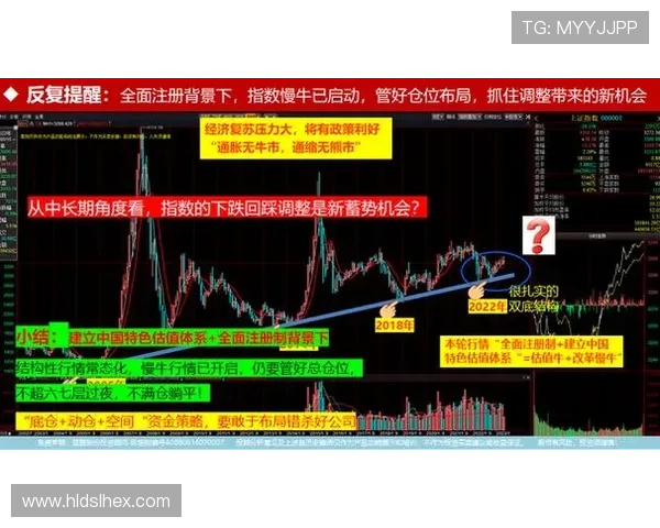 掘金队崛起之路：从逆境到冠军的精彩蜕变与未来展望