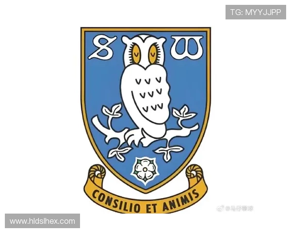 谢菲尔德星期三俱乐部百年征程见证英伦足球辉煌与城市精神传承